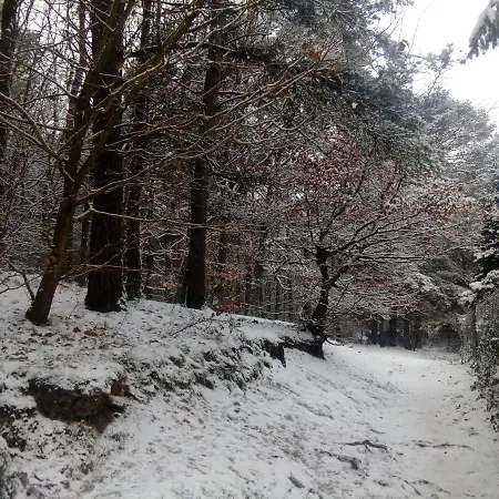 Lesny Loft Διαμέρισμα Γκντίνια