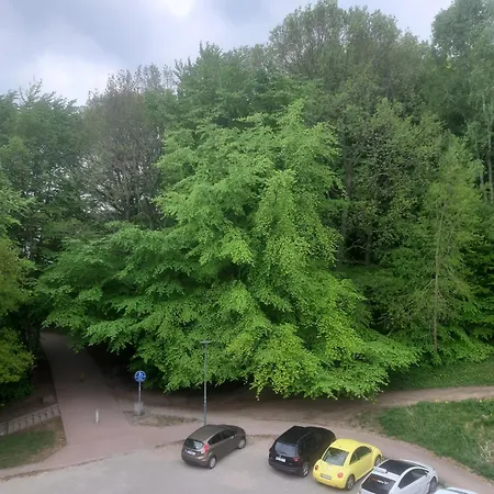 Lesny Loft דירה גדינייה