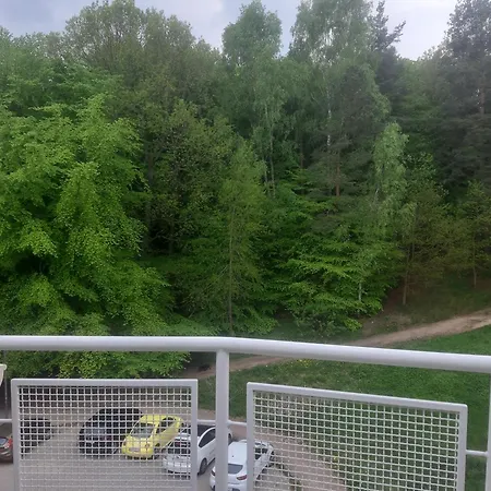 Leśny Loft *